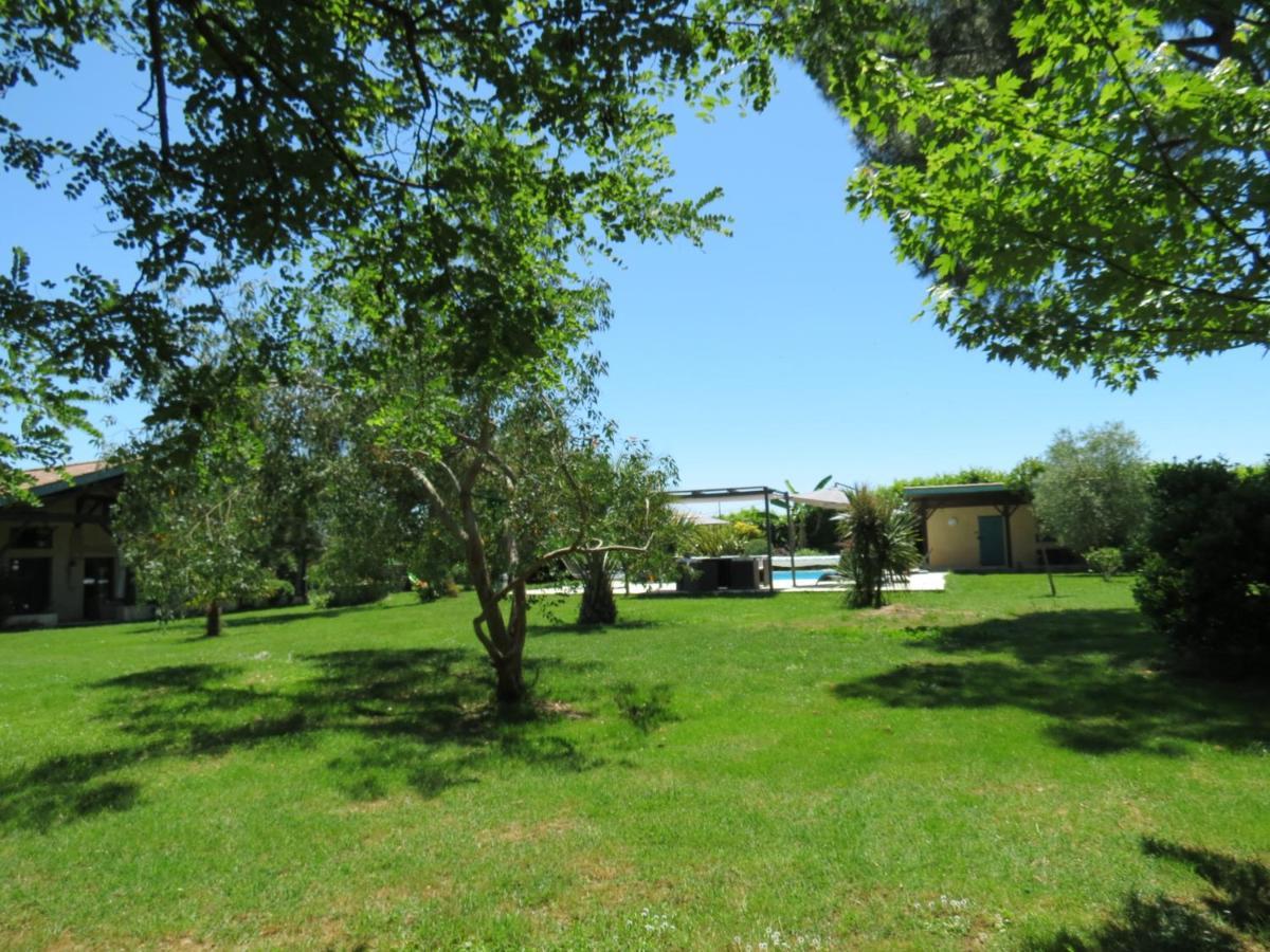 Les Hortensias Caumont-sur-Garonne Εξωτερικό φωτογραφία